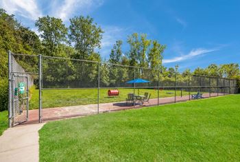 Bark park